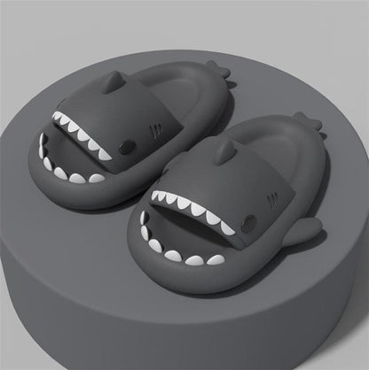 JacoliensSlippers I Chaussons Requins
